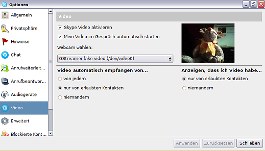Testbild in den Skype Video-Einstellungen