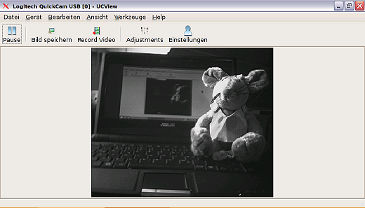 Webkamera (ucview) - Kamerabild im Modus Grey (Mono 8bpp)