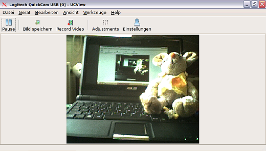 Webkamera (ucview) - Kamerabild im Modus Echtfarben (BGR 24bpp)
