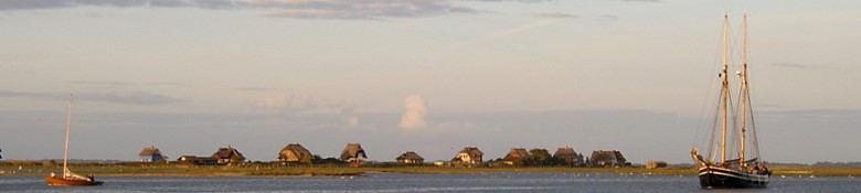Eyecatcher Image: /img/eyecatcher/heiligenhafen/teaser_780x175_heiligenhafen_graswarder3.jpg